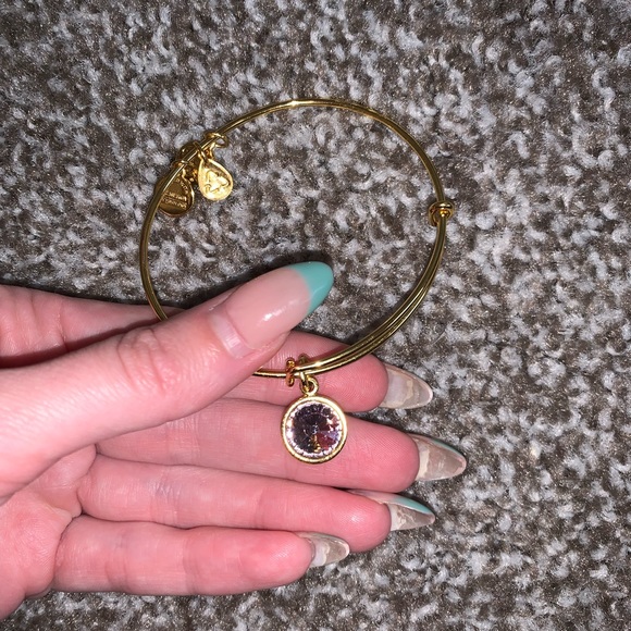 Alex and Ani light amethyst June birthstone charm bracelet - Picture 2 of 5